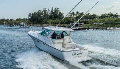 noname For Sale image10