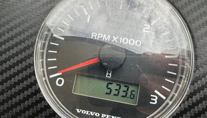 Gracie For Sale image43