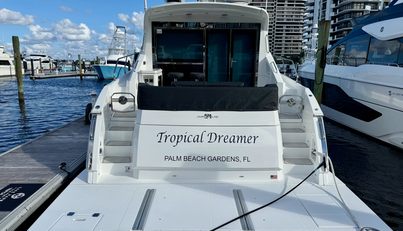 Tropical Dreamer For Sale image5