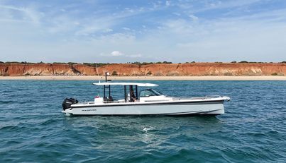 SEAS THE GREY For Sale image1