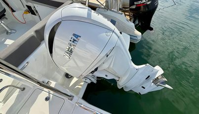 LUCA II For Sale image11