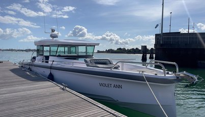 VIOLET ANN For Sale image26