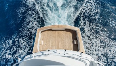 MODERATION For Sale image45