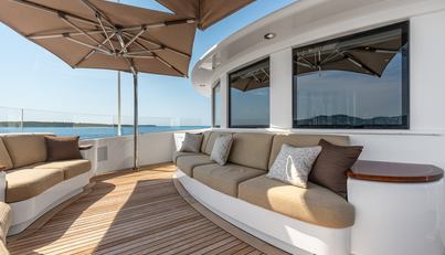 Lady Maxine For Sale image16