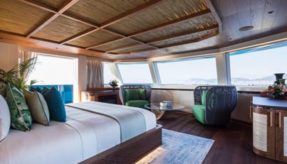 KING BENJI For Sale image27