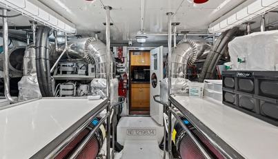 Aleniel For Sale image80