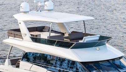 WILD GAMBLE For Sale image4