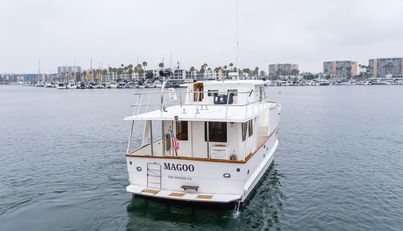 Magoo For Sale image29
