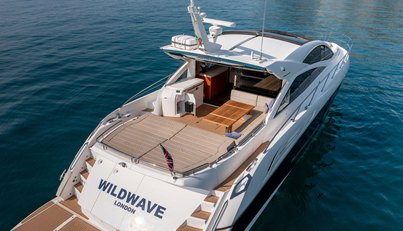 WILDWAVE For Sale image13
