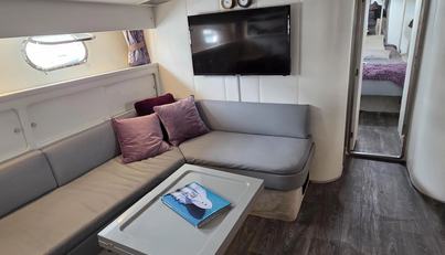 Halcyon For Sale image9