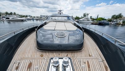 Coal Blooded For Sale image26