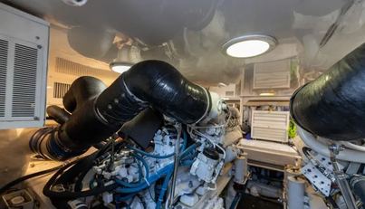 Miss Ella Maye For Sale image99