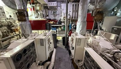 Ligaya For Sale image22