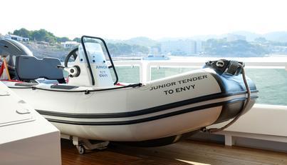 ENVY For Sale image75