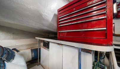 Octopi For Sale image44