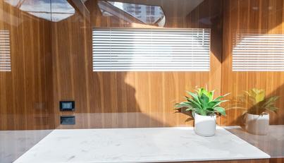 Tropical Dreamer For Sale image38