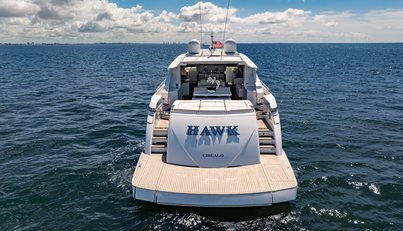 HAWK For Sale image17