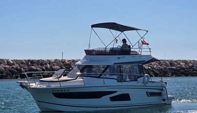 TIPSEA For Sale image1