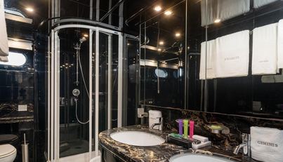 Gemini 3 For Sale image20