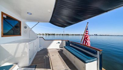 The Cotton Picker For Sale image21