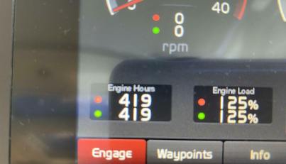 Mabe's Kid For Sale image35