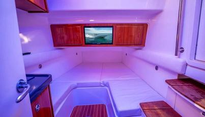 DREAM CHASER For Sale image34