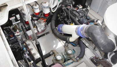 Baby Pie For Sale image52