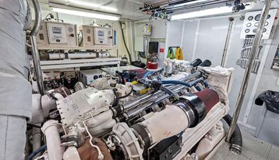 Picosa Lady For Sale image43