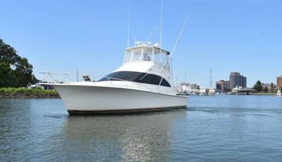 DRAM-BUOY For Sale image2