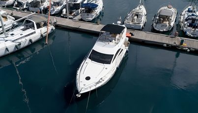 SCARLET For Sale image4