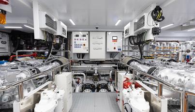 Half Irish For Sale image41