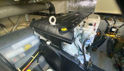 Mabe's Kid For Sale image60