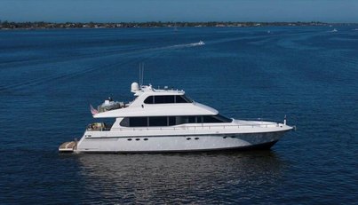 Octopi For Sale image1