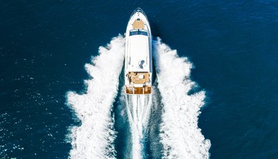 Saw Sea IIII For Sale image18