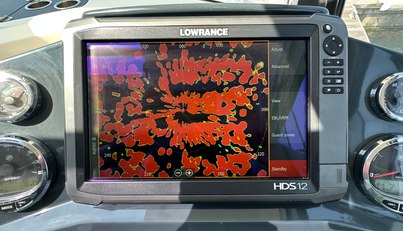 noname For Sale image11