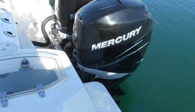 noname For Sale image6