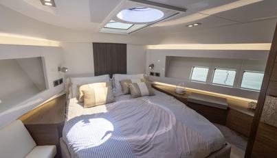 Luna of Chester For Sale image135