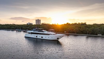 SOFI VI For Sale image70