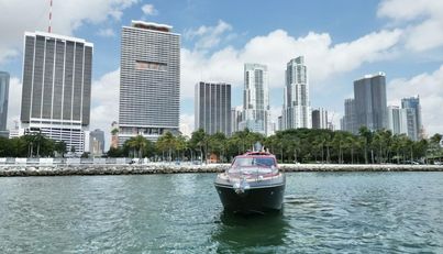 Notorius For Sale image5