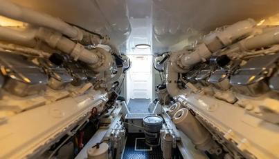 Miss Ella Maye For Sale image89