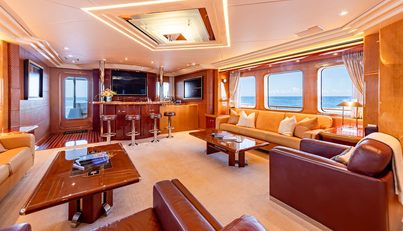 Mystique For Sale image17