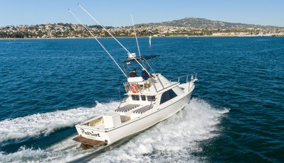 Patriot For Sale image25