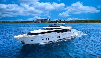 PERCAL For Sale image15