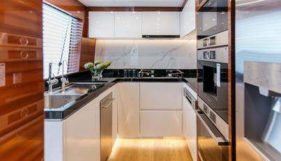 PAPILLON For Sale image14