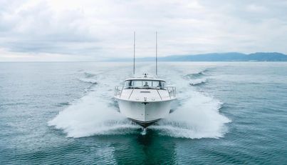 Commodore Two For Sale image7