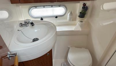 Osprey For Sale image25