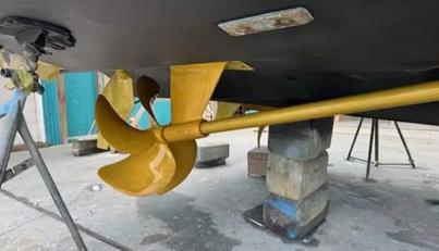 Miss Ella Maye For Sale image106