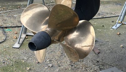 Moonlight Lady For Sale image25