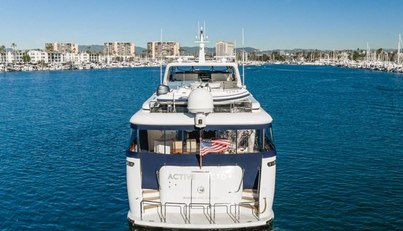 Active Octo For Sale image11