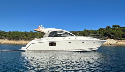 ALOUETTE For Sale image5